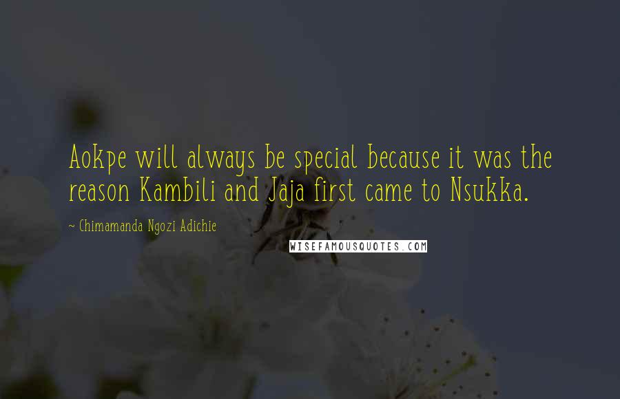 Chimamanda Ngozi Adichie Quotes: Aokpe will always be special because it was the reason Kambili and Jaja first came to Nsukka.
