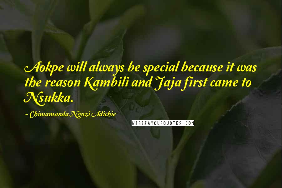 Chimamanda Ngozi Adichie Quotes: Aokpe will always be special because it was the reason Kambili and Jaja first came to Nsukka.