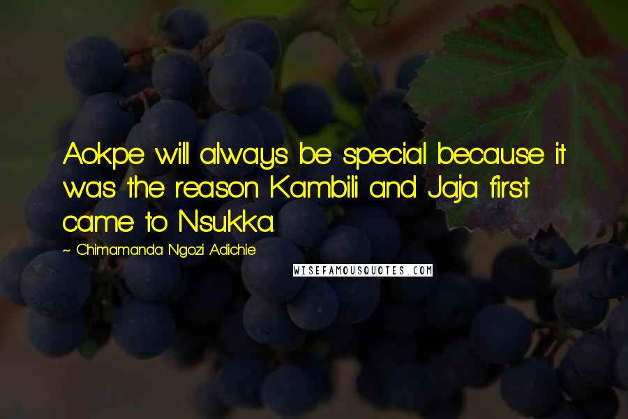 Chimamanda Ngozi Adichie Quotes: Aokpe will always be special because it was the reason Kambili and Jaja first came to Nsukka.