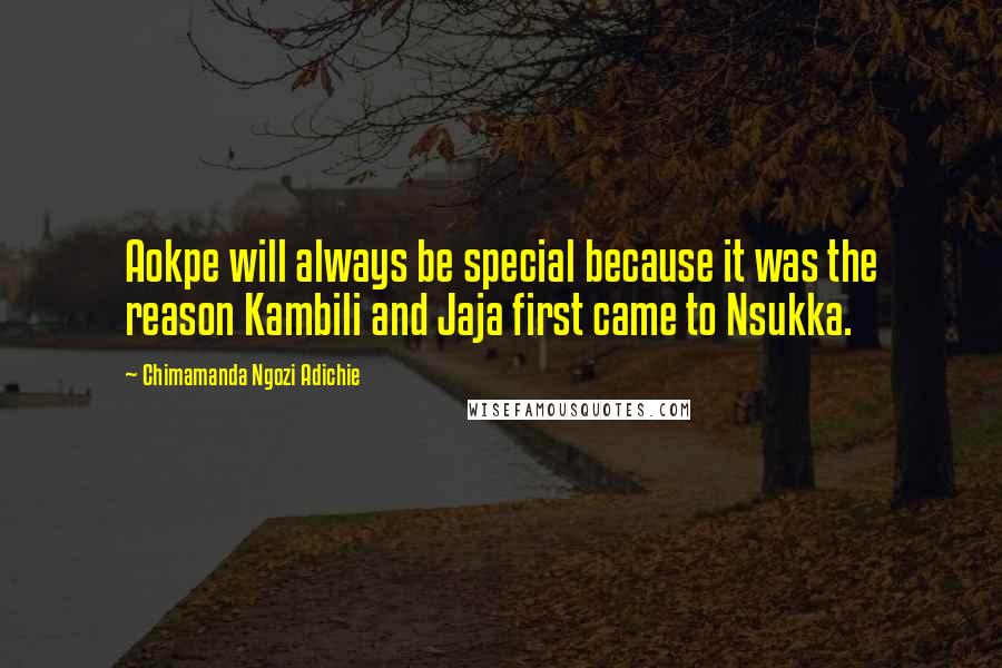 Chimamanda Ngozi Adichie Quotes: Aokpe will always be special because it was the reason Kambili and Jaja first came to Nsukka.
