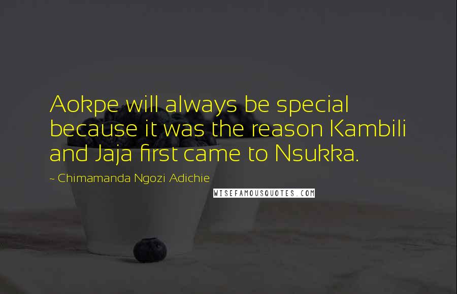 Chimamanda Ngozi Adichie Quotes: Aokpe will always be special because it was the reason Kambili and Jaja first came to Nsukka.
