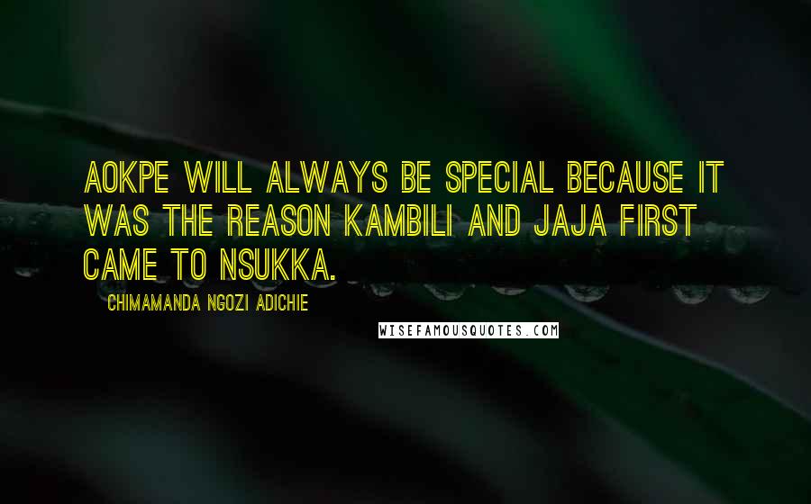 Chimamanda Ngozi Adichie Quotes: Aokpe will always be special because it was the reason Kambili and Jaja first came to Nsukka.