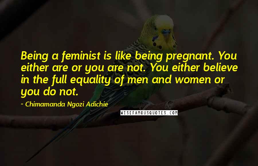 Chimamanda Ngozi Adichie Quotes: Being a feminist is like being pregnant. You either are or you are not. You either believe in the full equality of men and women or you do not.