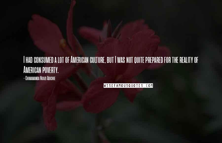 Chimamanda Ngozi Adichie Quotes: I had consumed a lot of American culture, but I was not quite prepared for the reality of American poverty.