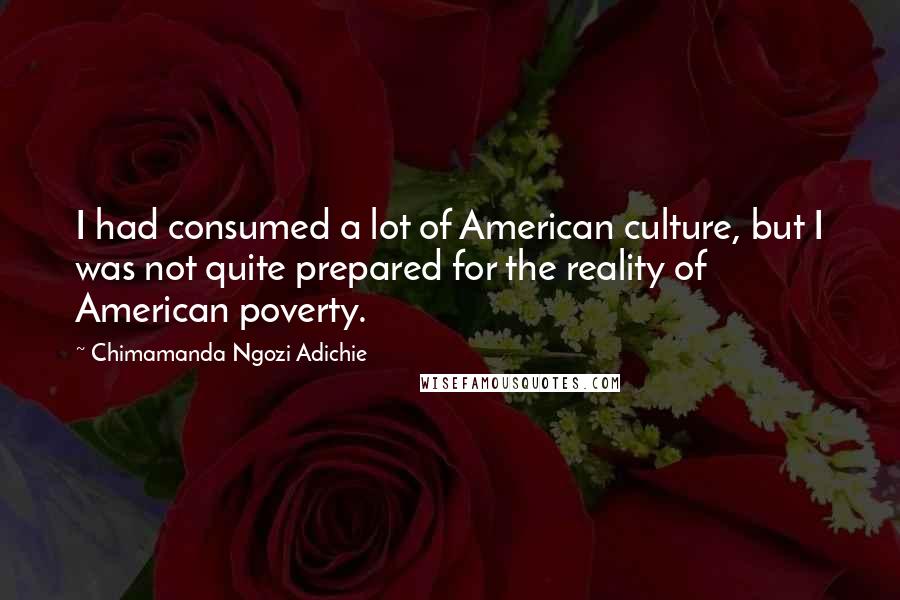 Chimamanda Ngozi Adichie Quotes: I had consumed a lot of American culture, but I was not quite prepared for the reality of American poverty.