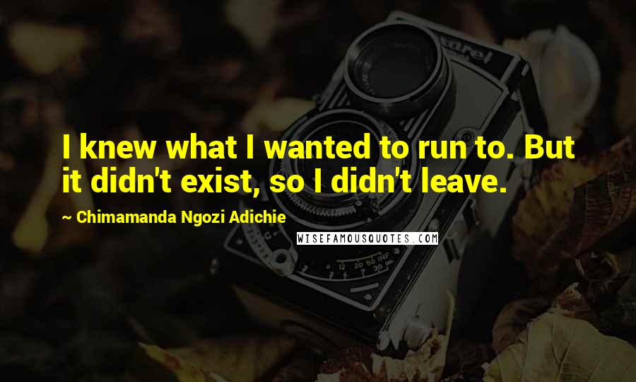 Chimamanda Ngozi Adichie Quotes: I knew what I wanted to run to. But it didn't exist, so I didn't leave.