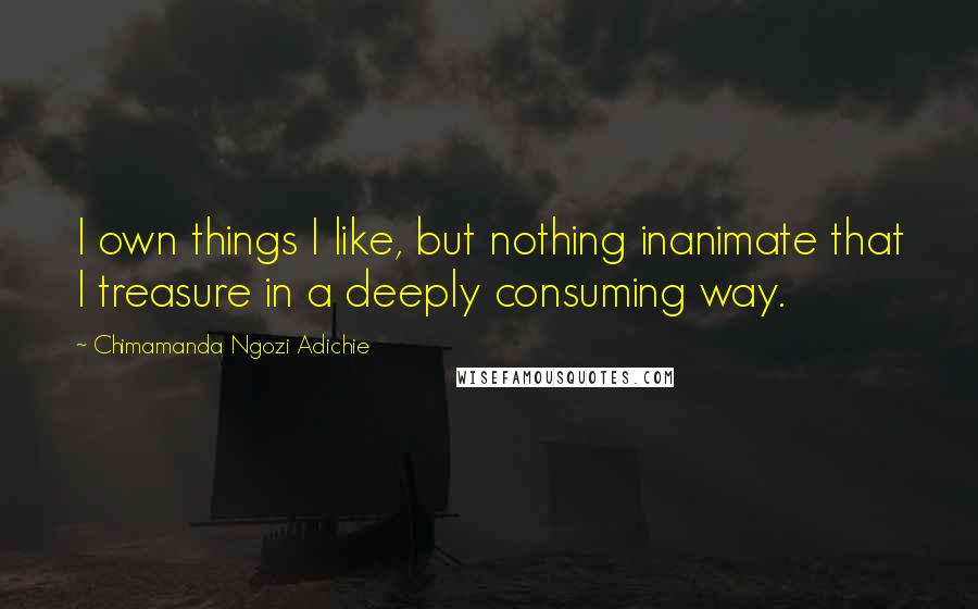 Chimamanda Ngozi Adichie Quotes: I own things I like, but nothing inanimate that I treasure in a deeply consuming way.