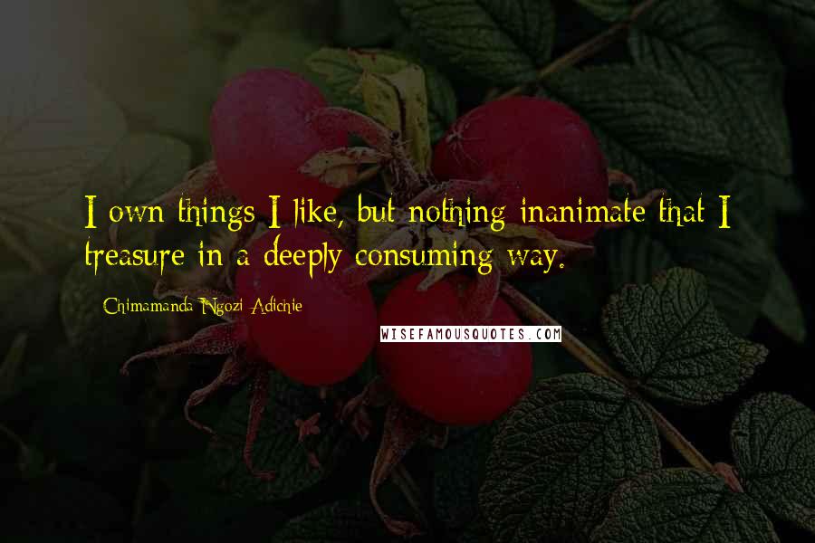 Chimamanda Ngozi Adichie Quotes: I own things I like, but nothing inanimate that I treasure in a deeply consuming way.