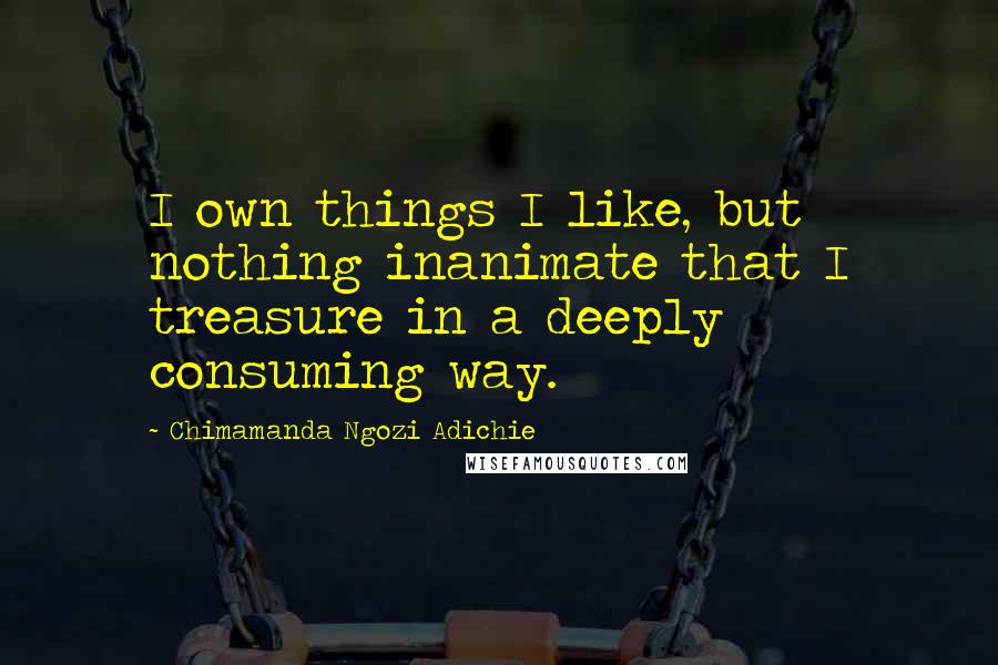 Chimamanda Ngozi Adichie Quotes: I own things I like, but nothing inanimate that I treasure in a deeply consuming way.