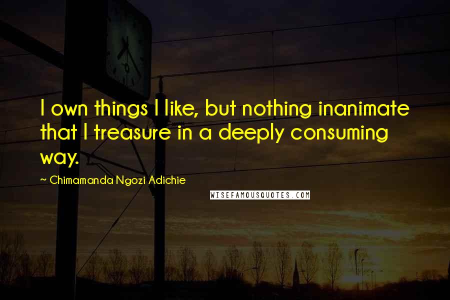 Chimamanda Ngozi Adichie Quotes: I own things I like, but nothing inanimate that I treasure in a deeply consuming way.