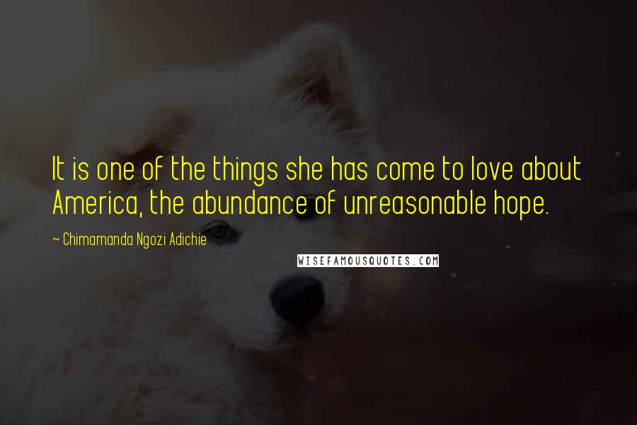 Chimamanda Ngozi Adichie Quotes: It is one of the things she has come to love about America, the abundance of unreasonable hope.