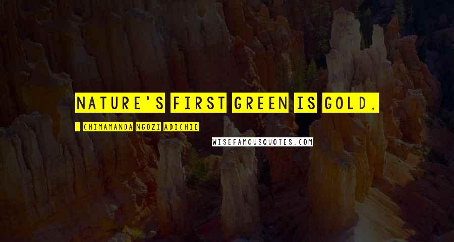 Chimamanda Ngozi Adichie Quotes: Nature's first green is gold.