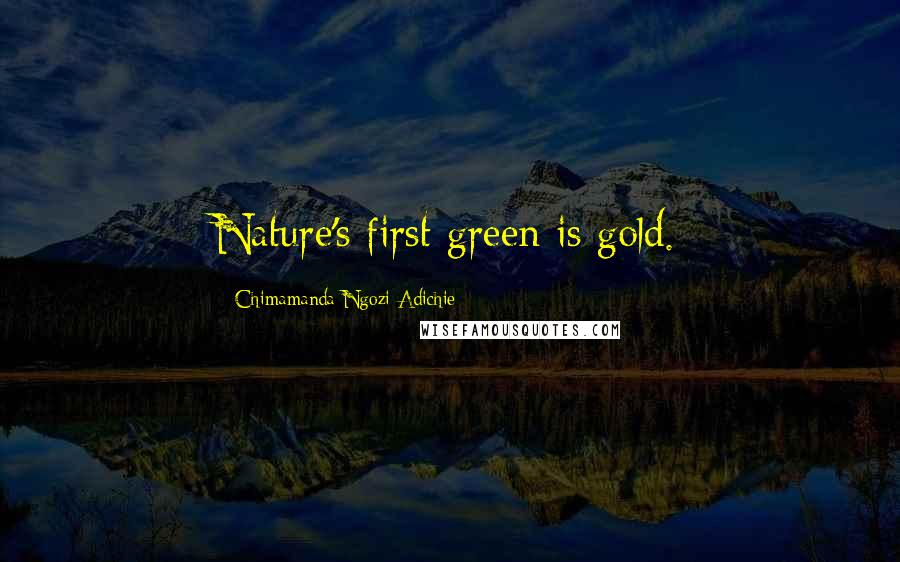 Chimamanda Ngozi Adichie Quotes: Nature's first green is gold.