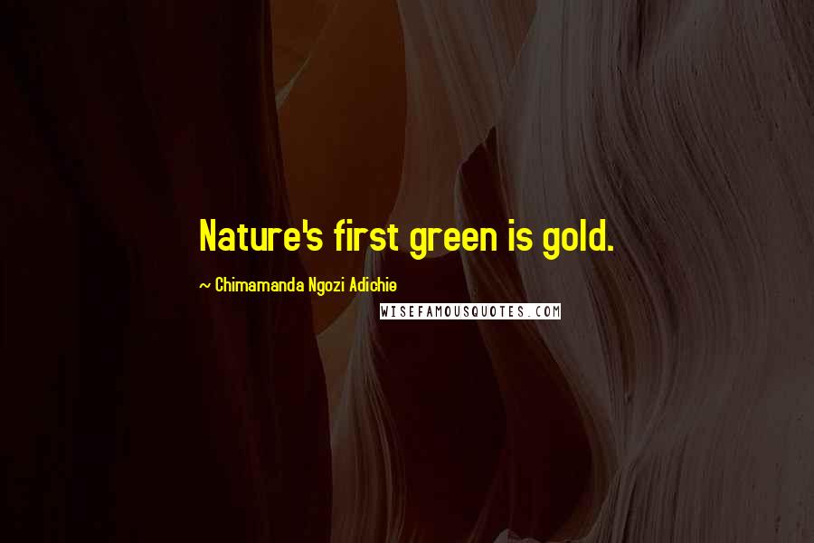 Chimamanda Ngozi Adichie Quotes: Nature's first green is gold.