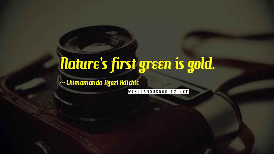 Chimamanda Ngozi Adichie Quotes: Nature's first green is gold.