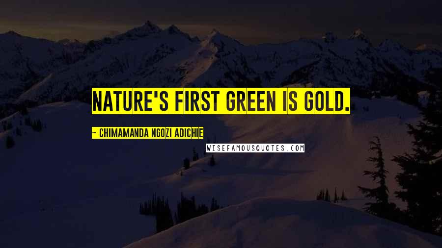 Chimamanda Ngozi Adichie Quotes: Nature's first green is gold.