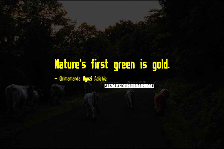 Chimamanda Ngozi Adichie Quotes: Nature's first green is gold.