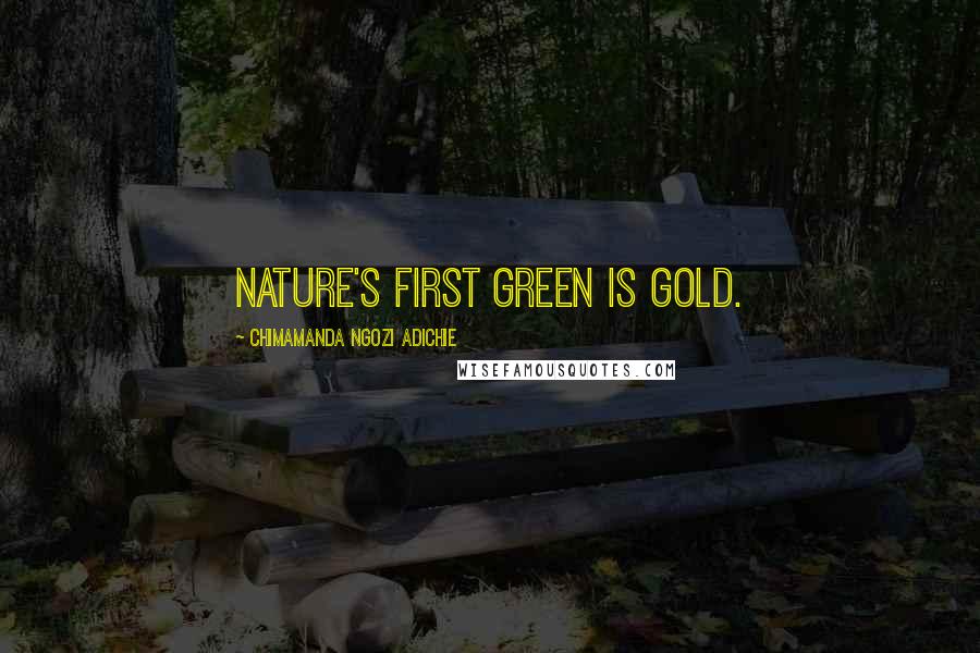 Chimamanda Ngozi Adichie Quotes: Nature's first green is gold.