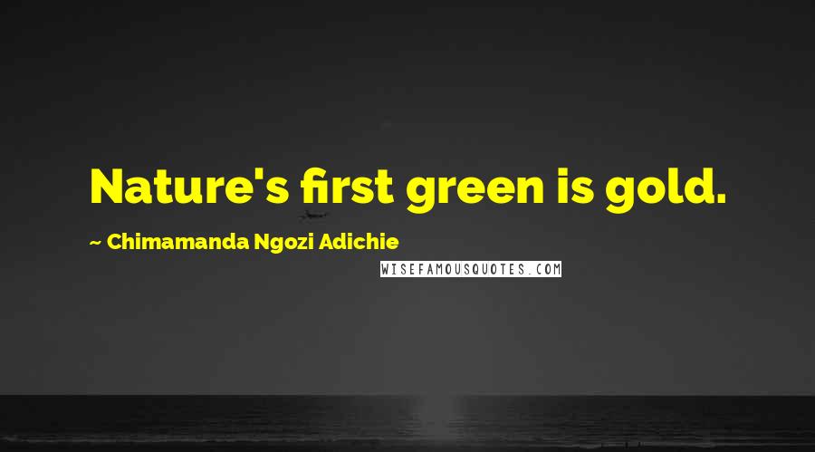 Chimamanda Ngozi Adichie Quotes: Nature's first green is gold.