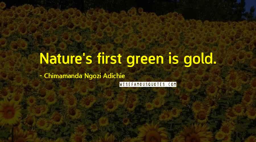 Chimamanda Ngozi Adichie Quotes: Nature's first green is gold.