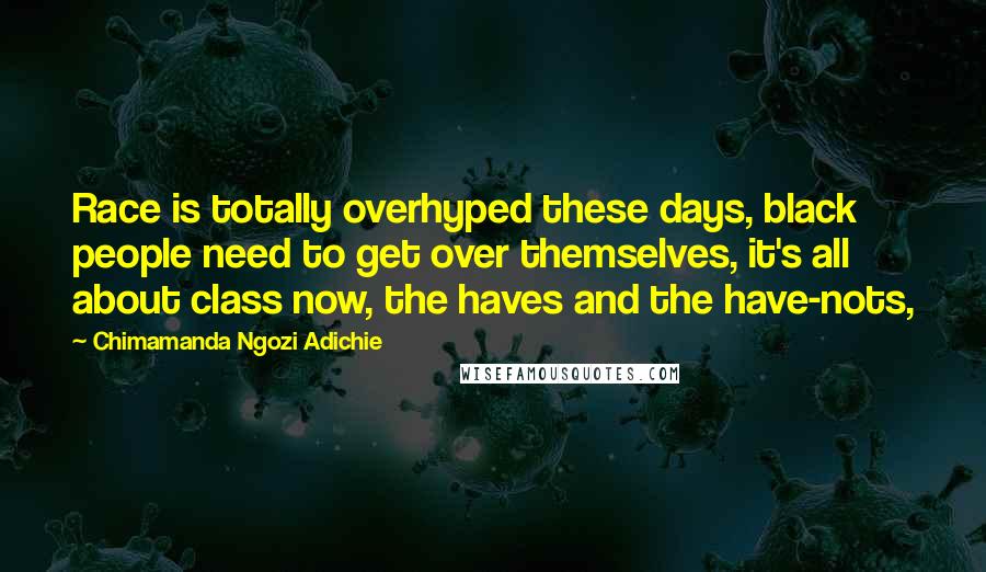 Chimamanda Ngozi Adichie Quotes: Race is totally overhyped these days, black people need to get over themselves, it's all about class now, the haves and the have-nots,