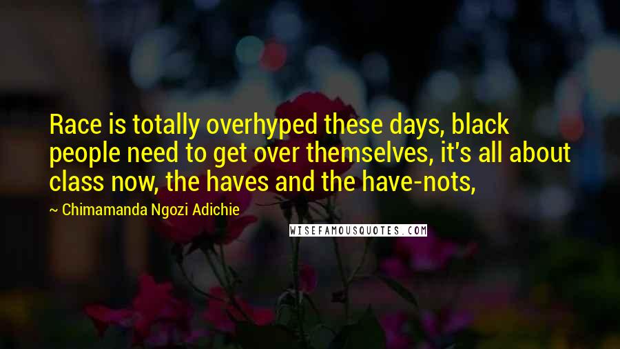 Chimamanda Ngozi Adichie Quotes: Race is totally overhyped these days, black people need to get over themselves, it's all about class now, the haves and the have-nots,