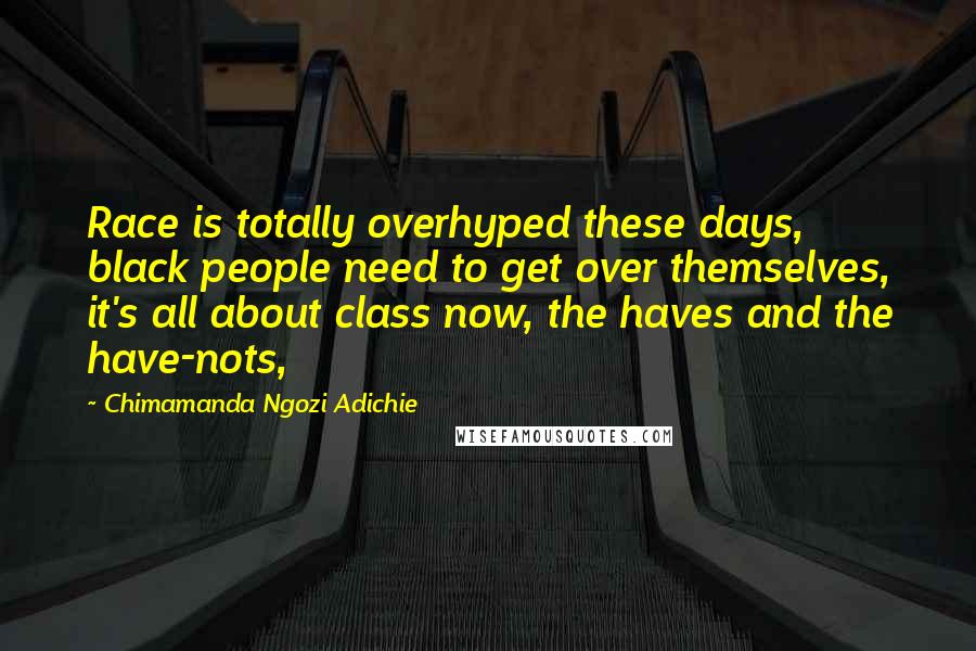 Chimamanda Ngozi Adichie Quotes: Race is totally overhyped these days, black people need to get over themselves, it's all about class now, the haves and the have-nots,