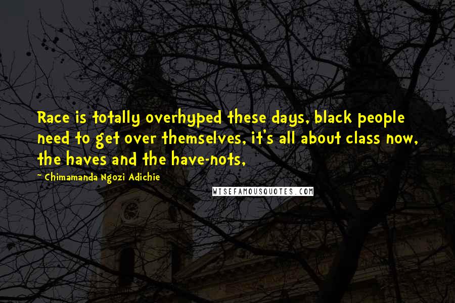 Chimamanda Ngozi Adichie Quotes: Race is totally overhyped these days, black people need to get over themselves, it's all about class now, the haves and the have-nots,