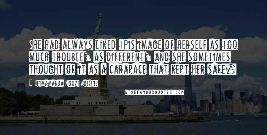 Chimamanda Ngozi Adichie Quotes: She had always liked this image of herself as too much trouble, as different, and she sometimes thought of it as a carapace that kept her safe.