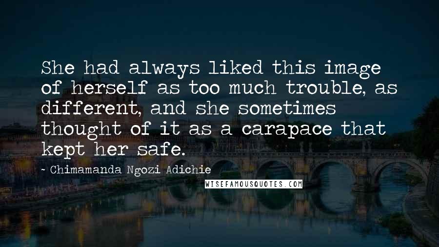 Chimamanda Ngozi Adichie Quotes: She had always liked this image of herself as too much trouble, as different, and she sometimes thought of it as a carapace that kept her safe.