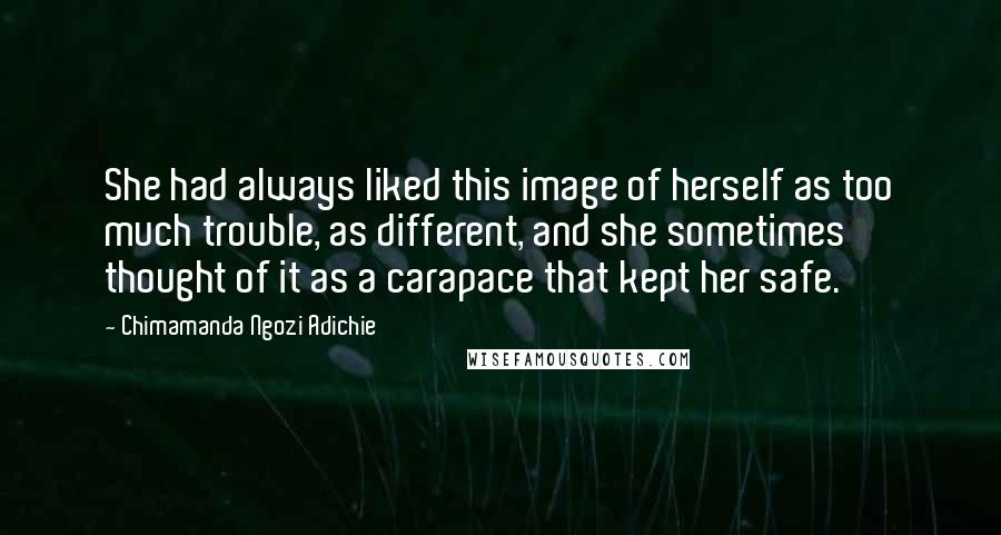 Chimamanda Ngozi Adichie Quotes: She had always liked this image of herself as too much trouble, as different, and she sometimes thought of it as a carapace that kept her safe.