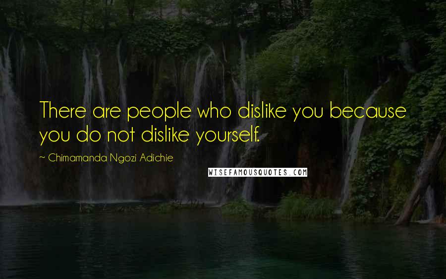 Chimamanda Ngozi Adichie Quotes: There are people who dislike you because you do not dislike yourself.