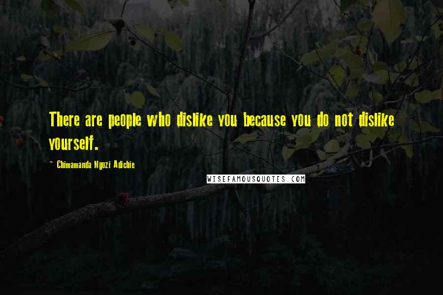 Chimamanda Ngozi Adichie Quotes: There are people who dislike you because you do not dislike yourself.