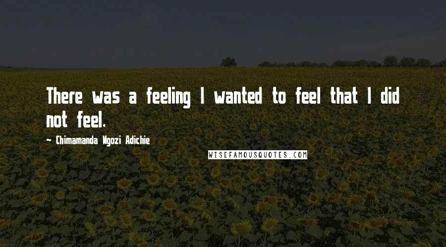 Chimamanda Ngozi Adichie Quotes: There was a feeling I wanted to feel that I did not feel.