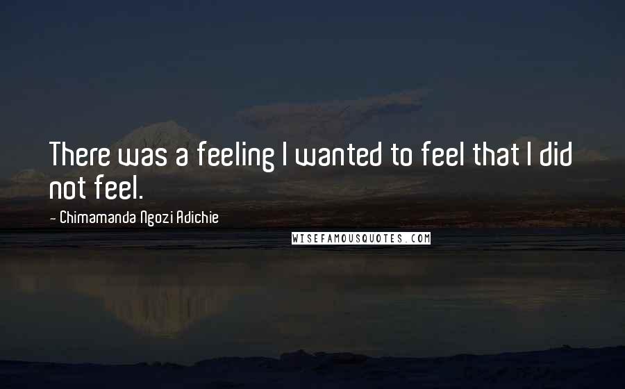 Chimamanda Ngozi Adichie Quotes: There was a feeling I wanted to feel that I did not feel.