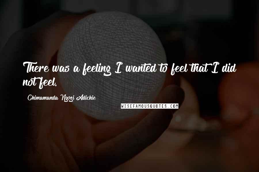 Chimamanda Ngozi Adichie Quotes: There was a feeling I wanted to feel that I did not feel.