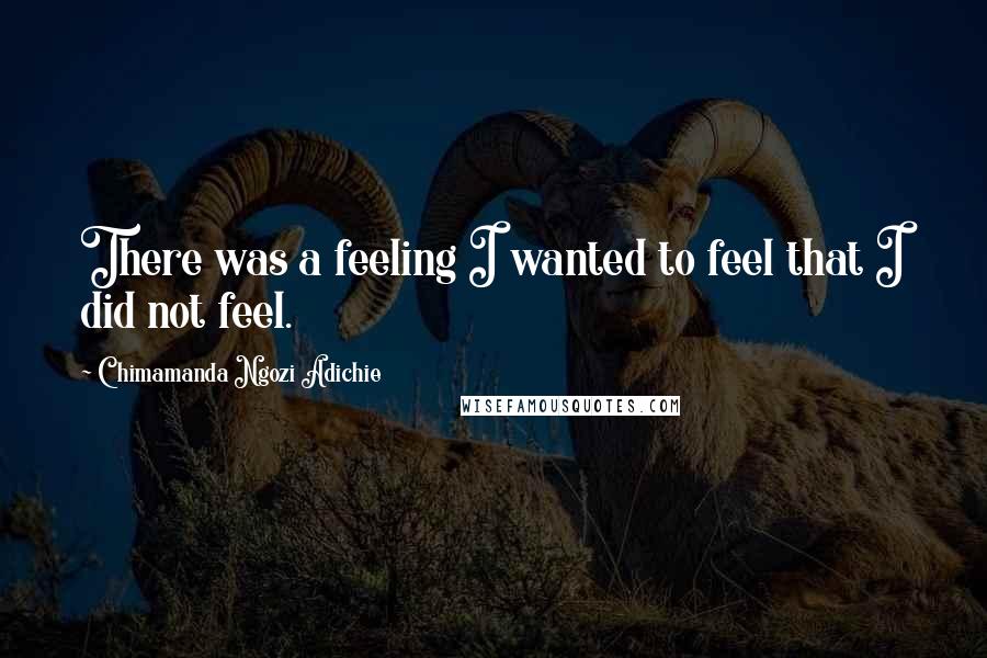 Chimamanda Ngozi Adichie Quotes: There was a feeling I wanted to feel that I did not feel.