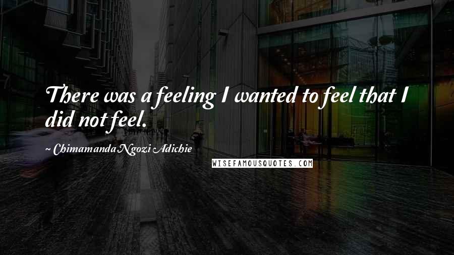 Chimamanda Ngozi Adichie Quotes: There was a feeling I wanted to feel that I did not feel.