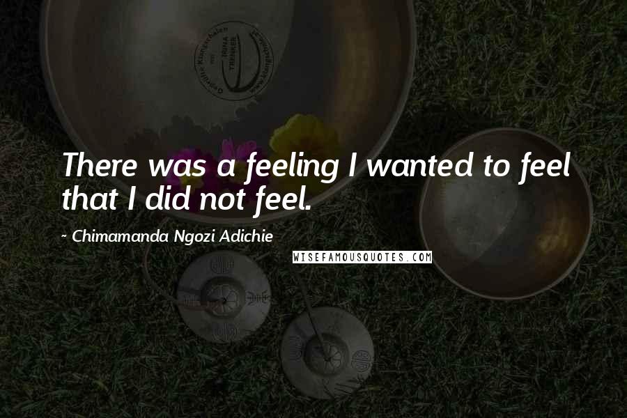 Chimamanda Ngozi Adichie Quotes: There was a feeling I wanted to feel that I did not feel.