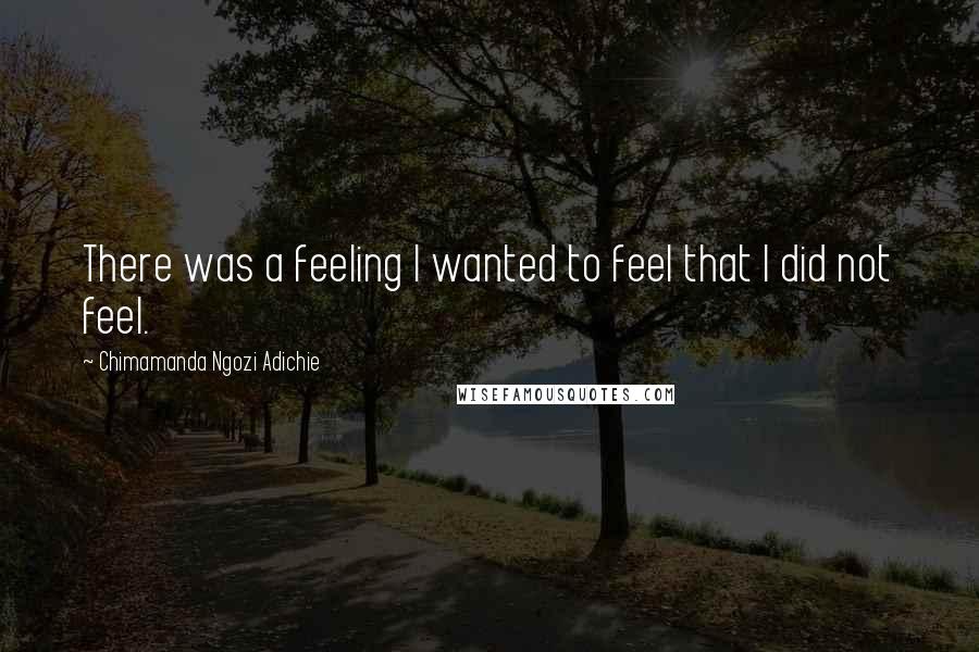 Chimamanda Ngozi Adichie Quotes: There was a feeling I wanted to feel that I did not feel.