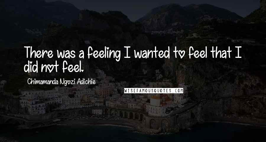 Chimamanda Ngozi Adichie Quotes: There was a feeling I wanted to feel that I did not feel.