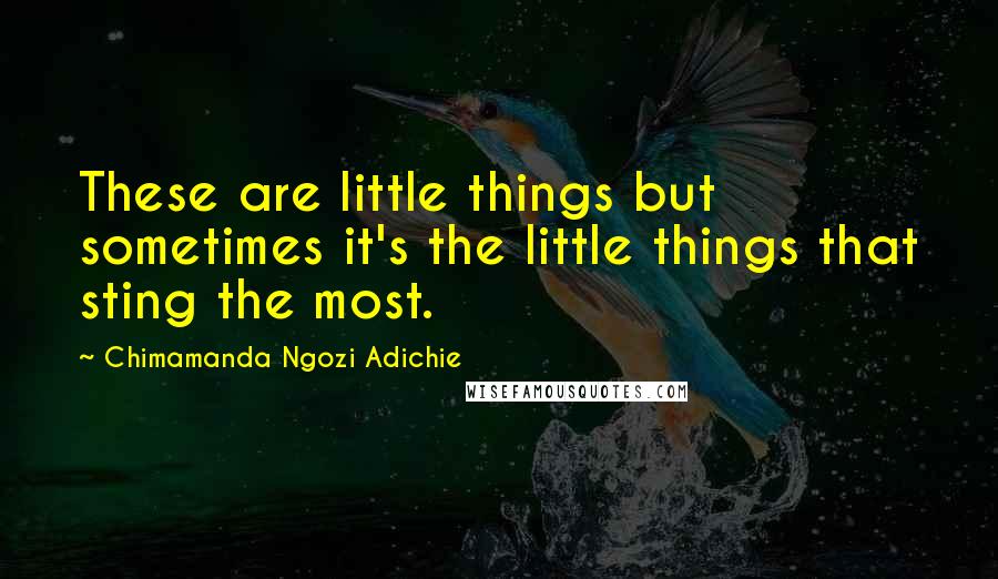 Chimamanda Ngozi Adichie Quotes: These are little things but sometimes it's the little things that sting the most.