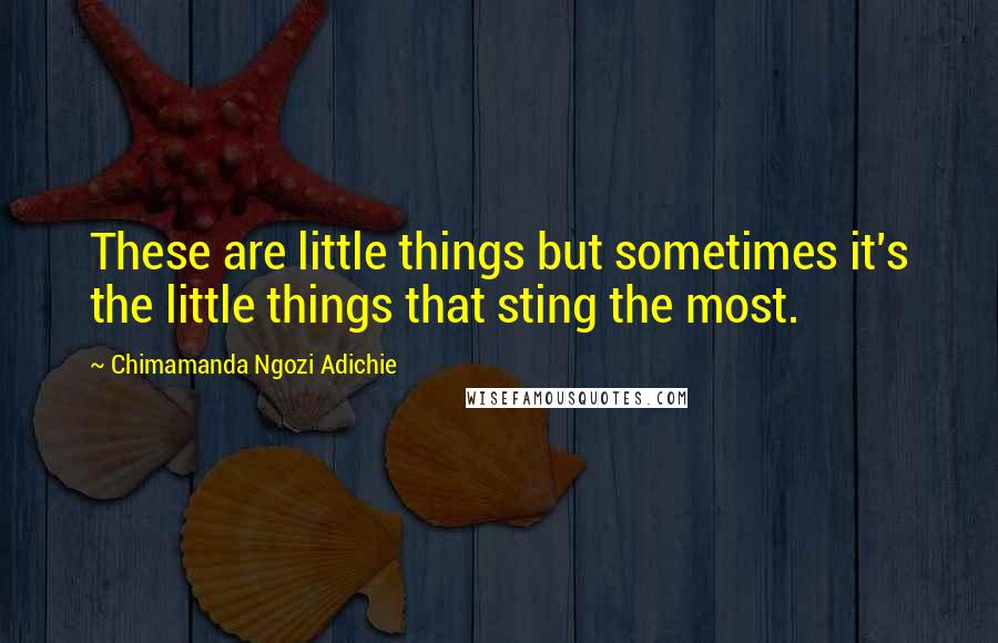 Chimamanda Ngozi Adichie Quotes: These are little things but sometimes it's the little things that sting the most.