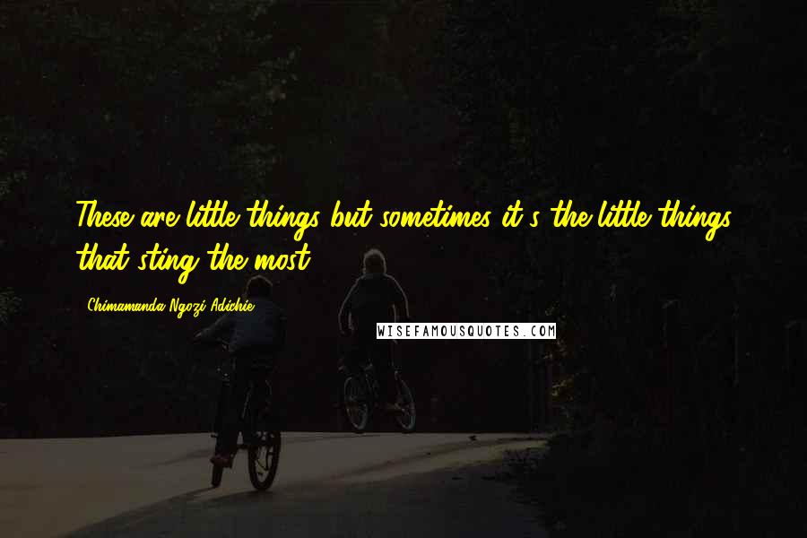 Chimamanda Ngozi Adichie Quotes: These are little things but sometimes it's the little things that sting the most.
