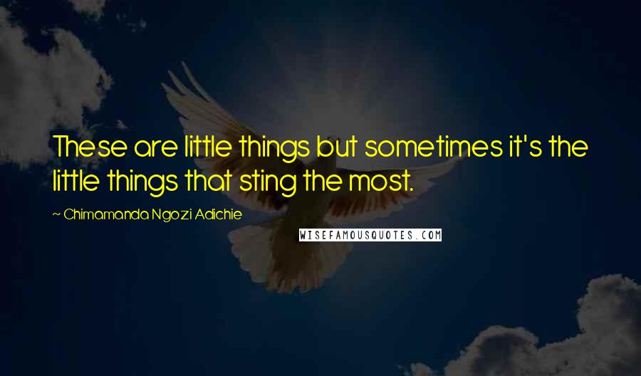 Chimamanda Ngozi Adichie Quotes: These are little things but sometimes it's the little things that sting the most.