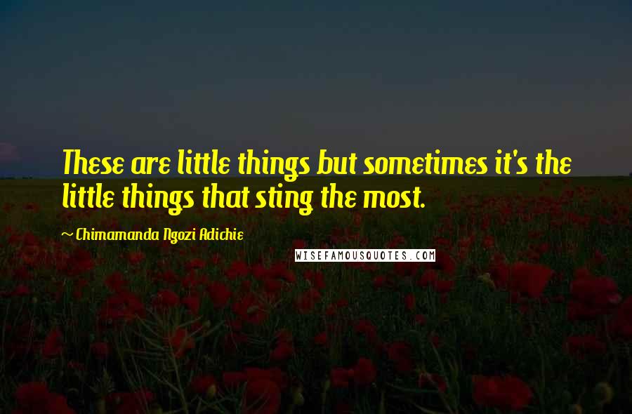 Chimamanda Ngozi Adichie Quotes: These are little things but sometimes it's the little things that sting the most.