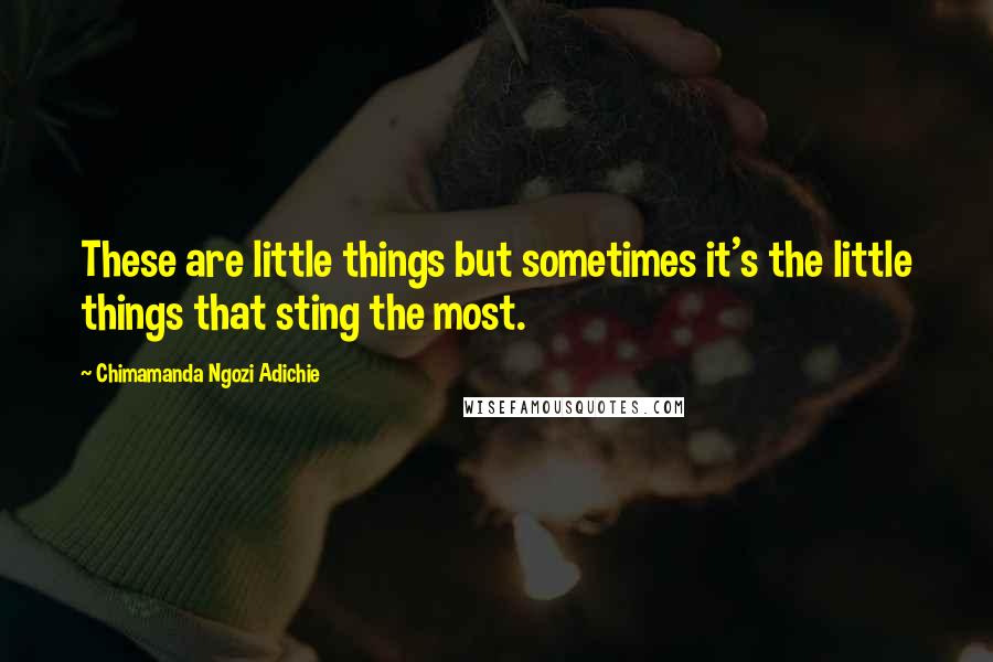 Chimamanda Ngozi Adichie Quotes: These are little things but sometimes it's the little things that sting the most.