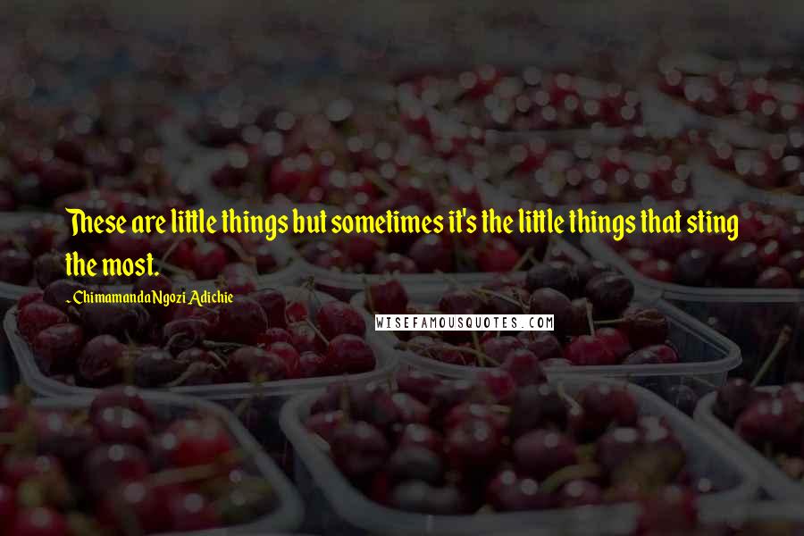 Chimamanda Ngozi Adichie Quotes: These are little things but sometimes it's the little things that sting the most.