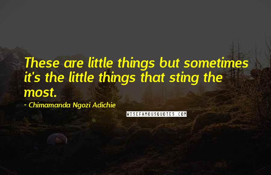 Chimamanda Ngozi Adichie Quotes: These are little things but sometimes it's the little things that sting the most.