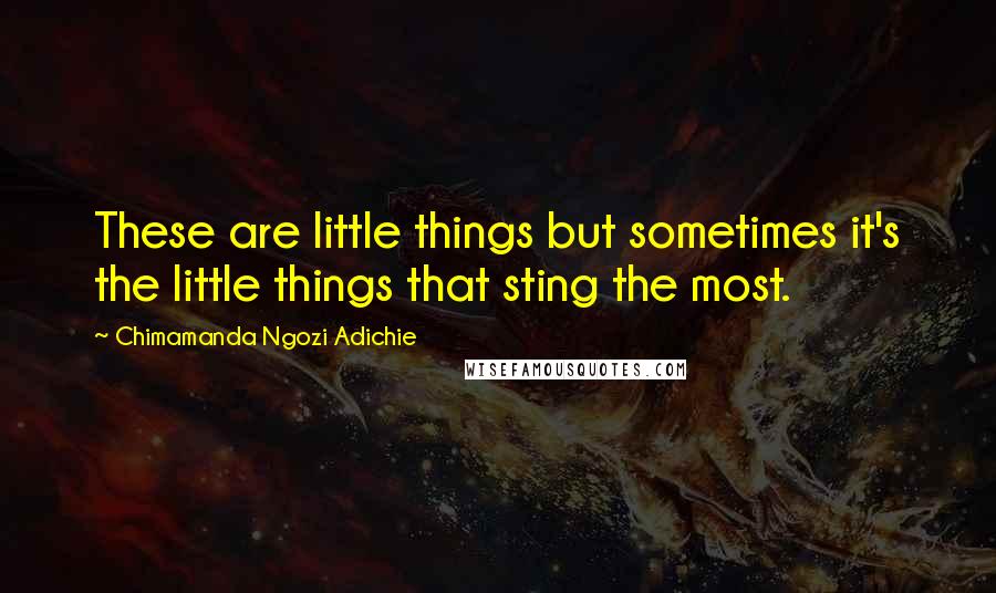 Chimamanda Ngozi Adichie Quotes: These are little things but sometimes it's the little things that sting the most.